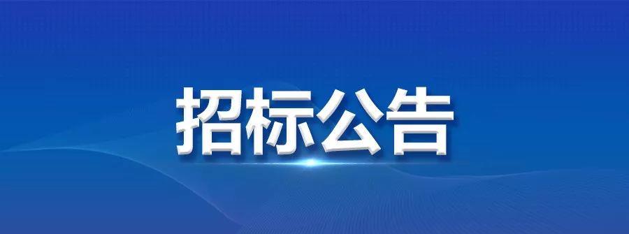 龙电华鑫集团自动线招标公告